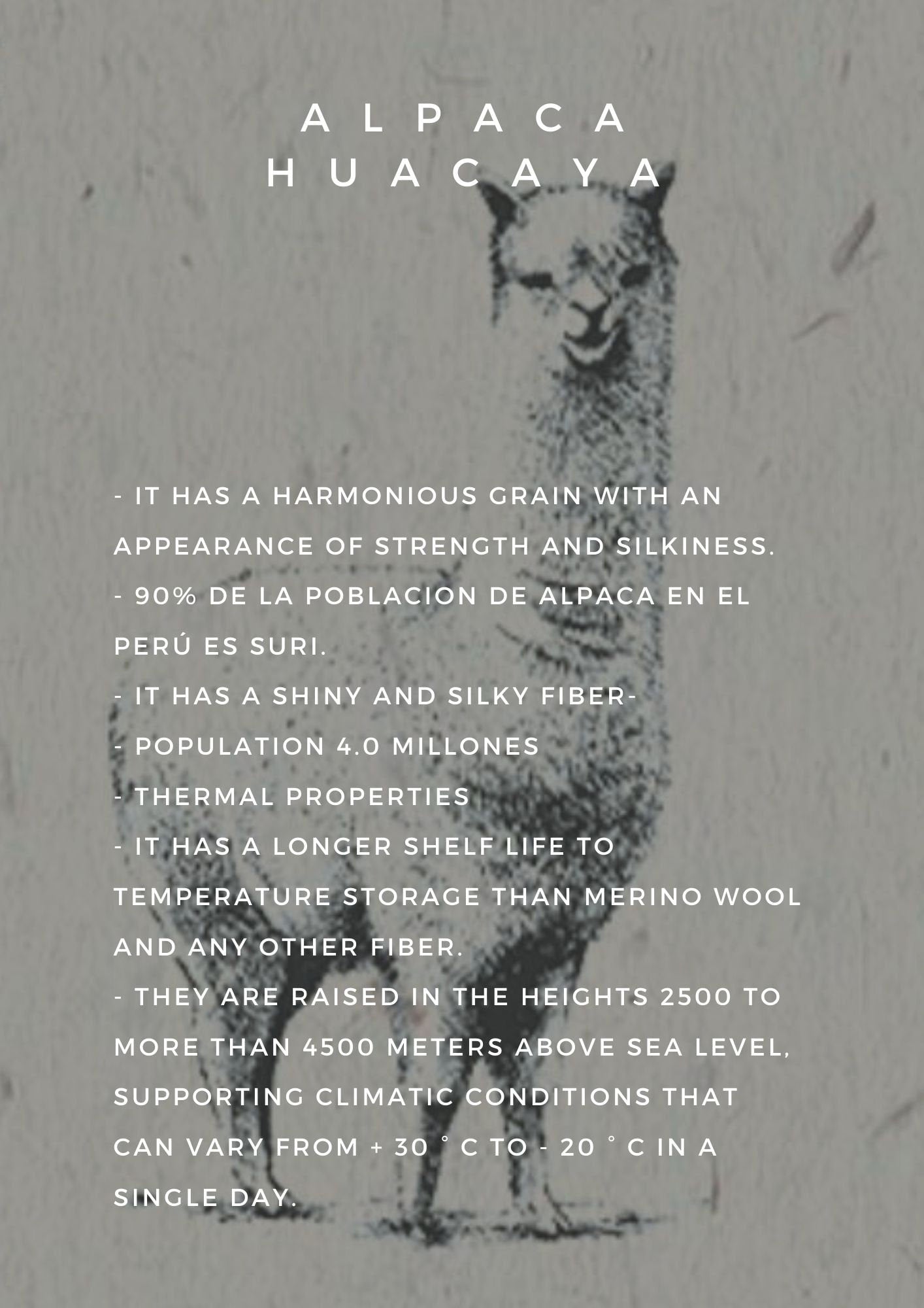 Hand Knitted Gray Alpaca Sweater | Sustainable Wool Jumper