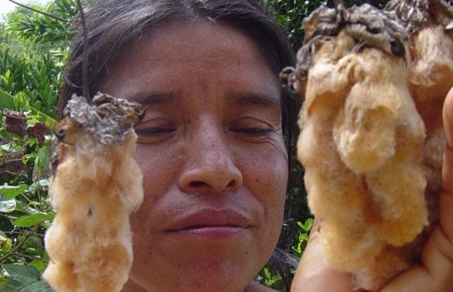 Handmade Crochet Organic Cotton Tunic Dress | Sustainable Knit Top