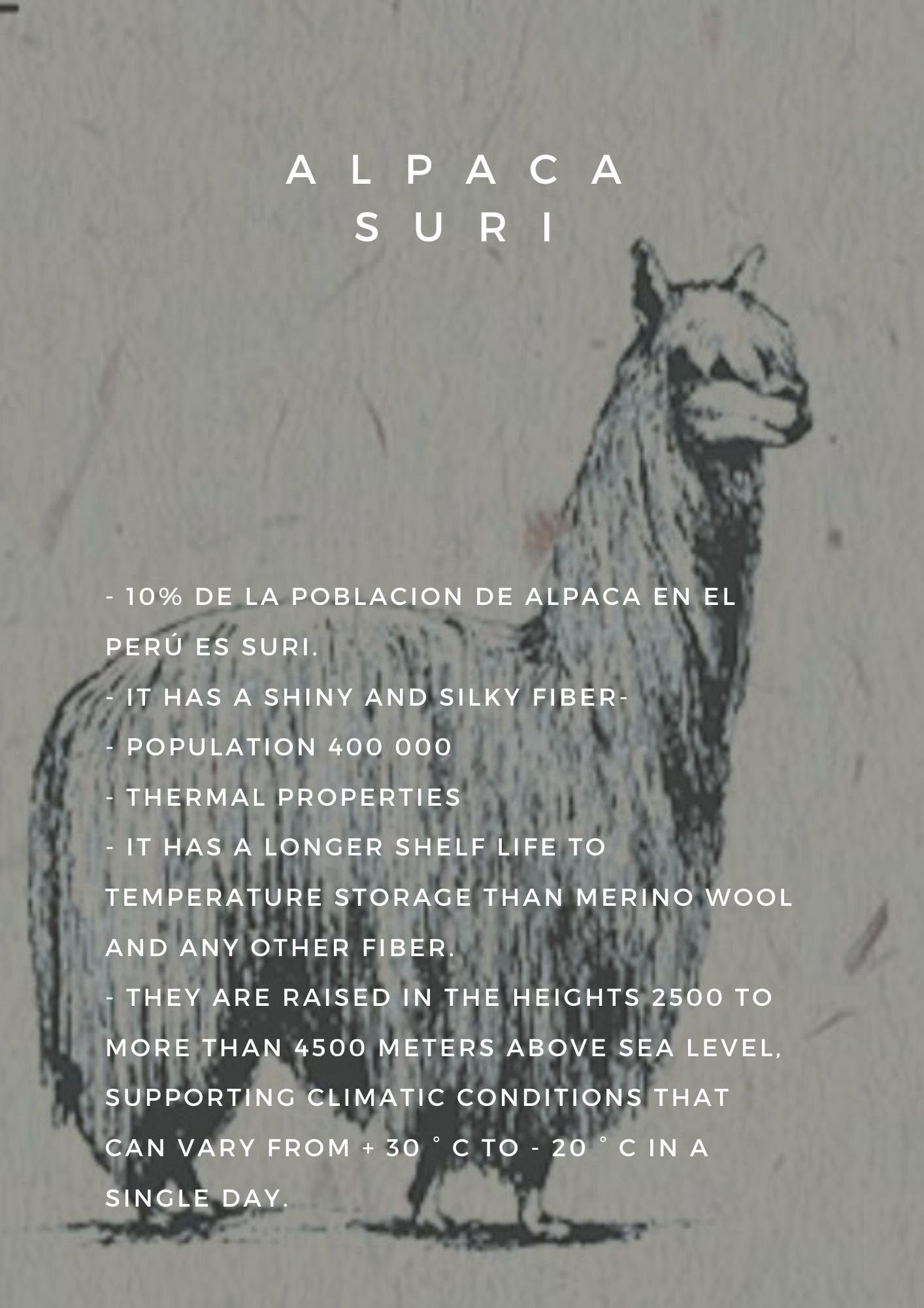 Handmade Alpaca Knit Vest and Hat | SONQO Wool Set